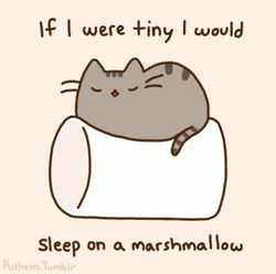 Tiny Pusheen Sleep On The Marshmallow GIF