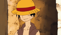 Tip Hat Luffy One Piece GIF