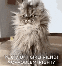 Tired Groggy GIF