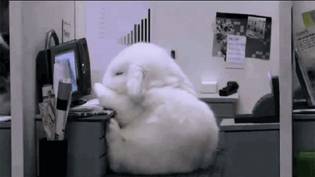 Tired Monday Work Meme GIF