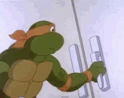 Tmnt Ninja Turtle Michel Angelo Shock GIF