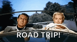 To Catch A Thief Road Trip GIF