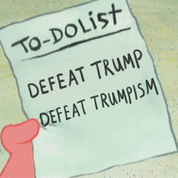 To Do List Defeat Trump 2024 GIF