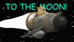 To The Moon Big Brown Rocket GIF