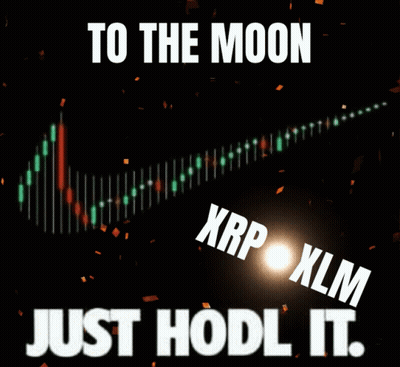 To The Moon Just Hodl It Poster GIF