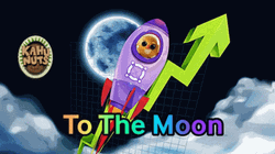 To The Moon Kahunuts Purple Rocket GIF