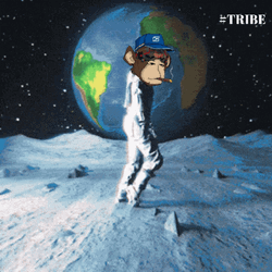 To The Moon Monkey Moon Dance GIF