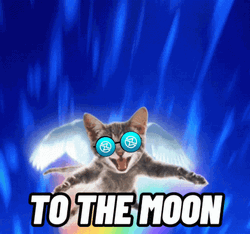 To The Moon The Flying Cat GIF