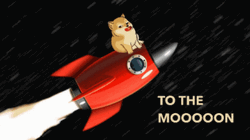 To The Moon The Red Rocket And A Dog GIF