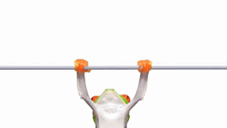 Toad Fitness Pull Up GIF | GIFDB.com