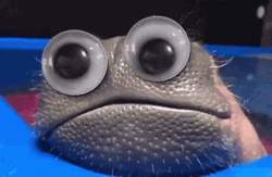 Toad Tongue Out Googly Eyes GIF