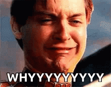 Tobey Maguire Saying Why GIF