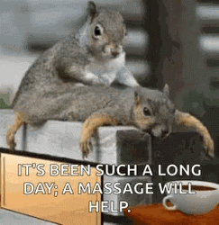Today Drained Me Two Squirrels GIF