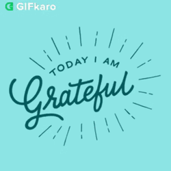 Today I Am Grateful And Thankful GIF