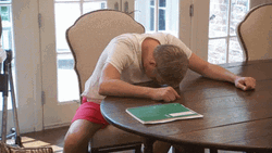 Todd Chrisley Bang Head On Desk GIF