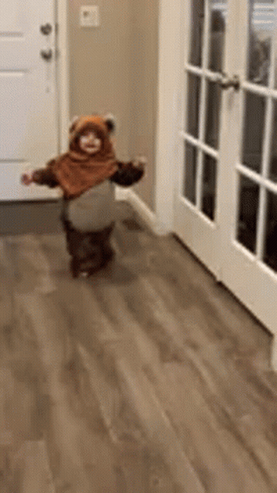 Toddler In Teddy Bear Costume Walking GIF