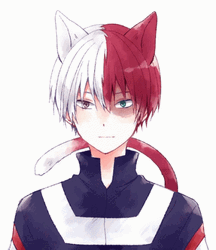 Todoroki Shoto Cat Ears GIF
