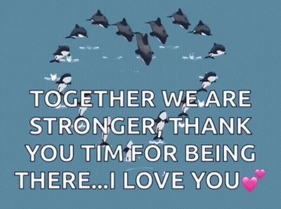 Together We Are Stronger Thank You Tim GIF