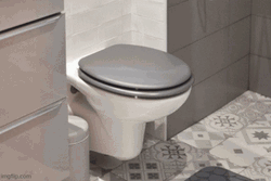 Toilet Bowl Repair Image Compilation GIF