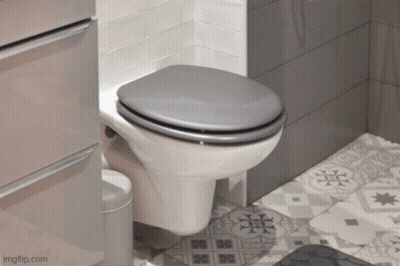 Toilet In Bathroom With Imgflip Watermark GIF