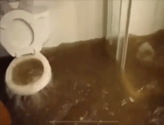 Toilet GIF