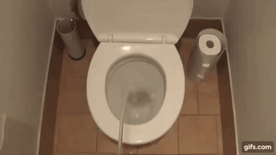 Toilet Next To Paper Towel Dispenser GIF
