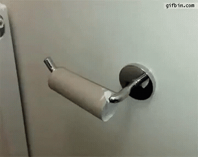 Toilet Paper Roll Stuck To Toilet Handle GIF