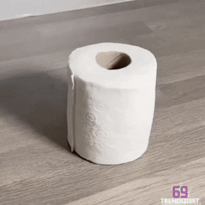Toilet Paper Roll With Number 69 Trendzisst GIF
