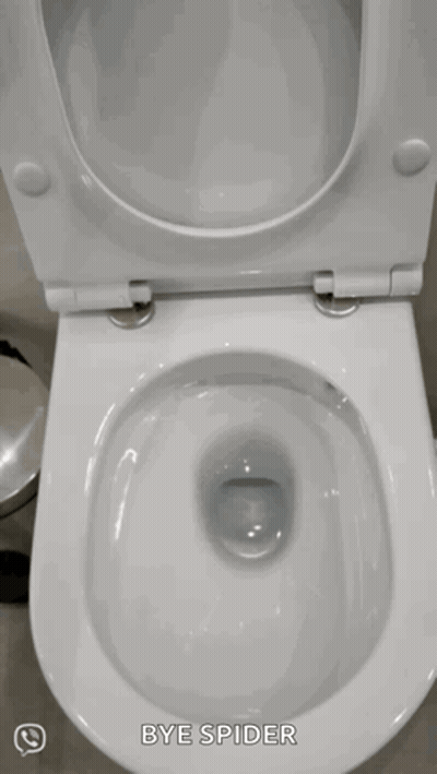 Toilet With Bye Spider Written On It GIF