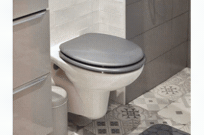 Toilet With Grey Seat In Bathroom GIF