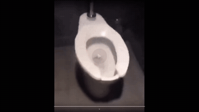 Toilet With Red Arrow Pointing Down GIF
