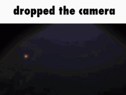 Tokyo Mirage Sessions Camera Meme GIF