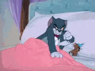 Tom And Jerry Fighting In Bed GIF