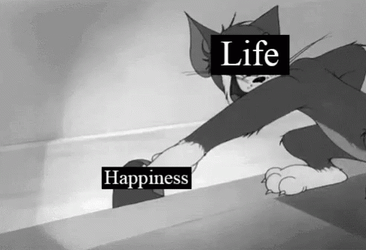 Tom And Jerry Fml GIF