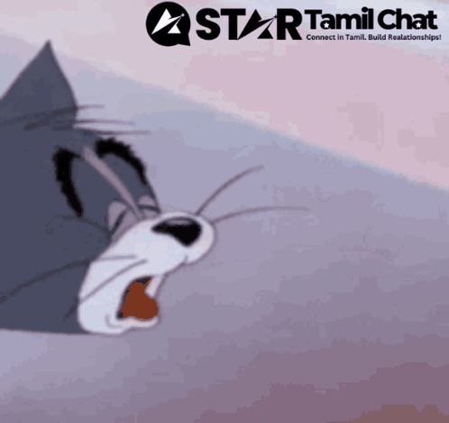 Tom And Jerry With Star Tamil Chat Logo GIF