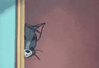Tom Cat Eyes Springs Out Boing GIF