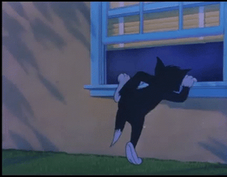 Tom Cat Sneaking In Through Window GIF