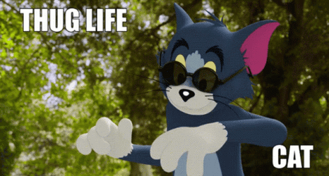 Tom Cat Tome And Jerry Thug Life GIF