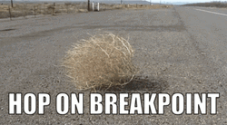Tom Clancy's Ghost Recon Wildlands Tumbleweed GIF