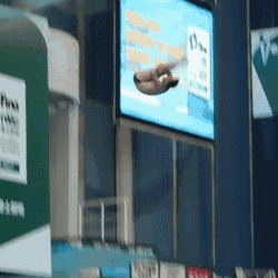 Tom Daley Diving GIF