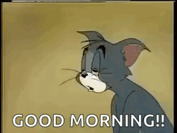 Tom From Tom And Jerry Is Saying Good Morning . GIF