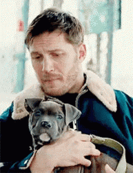 Tom Hardy Puppy GIF
