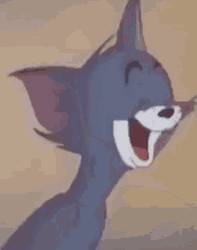 Tom Hilarious Laugh GIF
