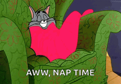 Tom Nap Time On Sofa GIF