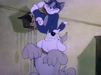 Tom Tease Spike By Wagging His Tail GIF