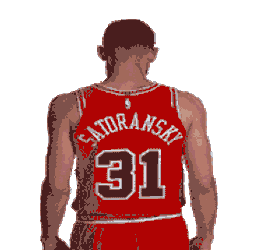 Tomas Satoransky Pose Sticker GIF