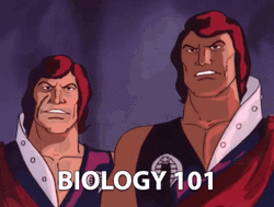 Tomax And Xamot Biology 101 GIF