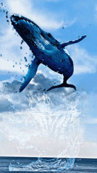 Tombs Whale Nft GIF