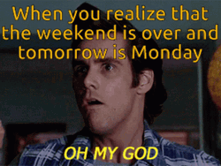 Tomorrow Is Monday Jim Carrey GIF