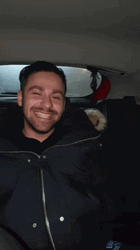 Tongue Out Teasing Playful Bleh Car Video GIF